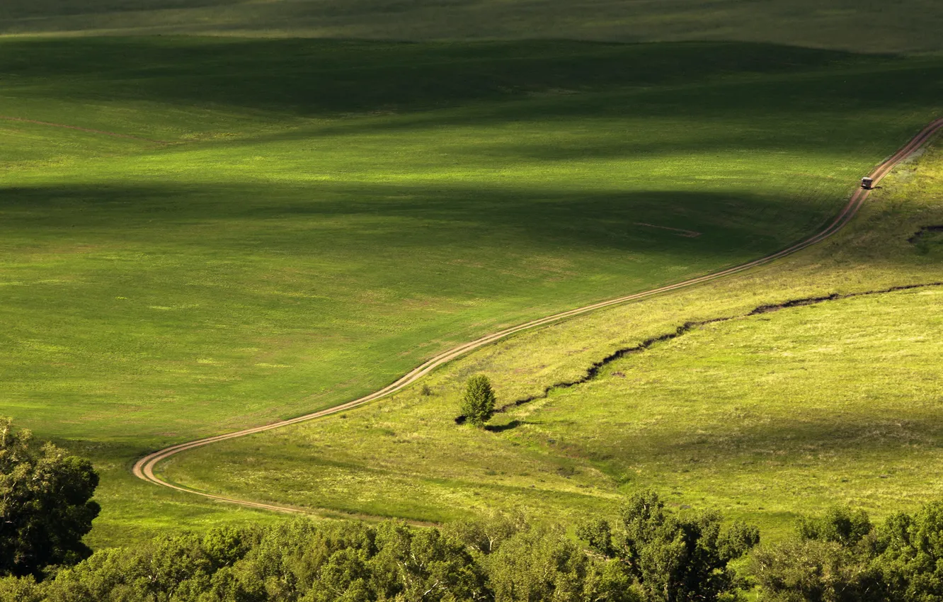 Фото обои дорога, зелень, поле, долина, сверху, автомобиль