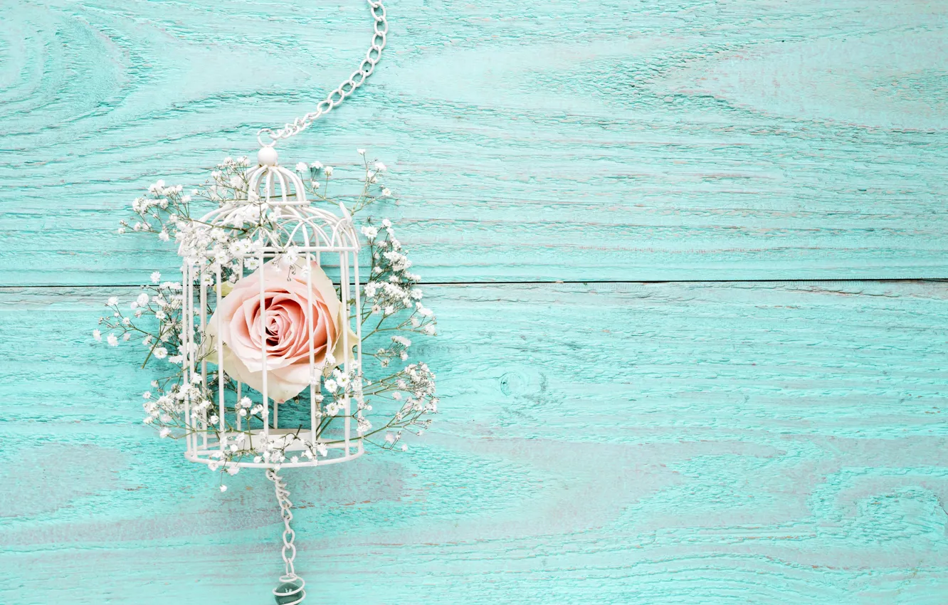 Фото обои цветы, фон, розы, розовые, white, wood, blue, pink