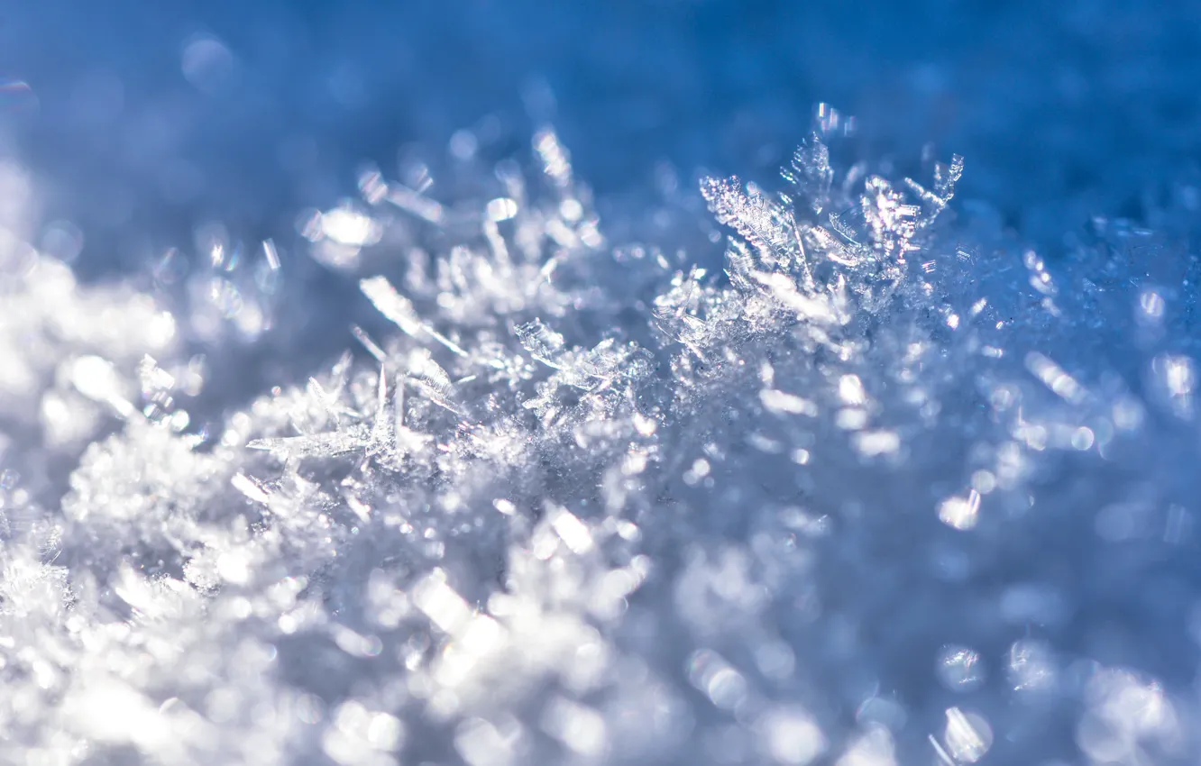 Фото обои зима, макро, свет, снег, снежинки, природа, блики, лёд