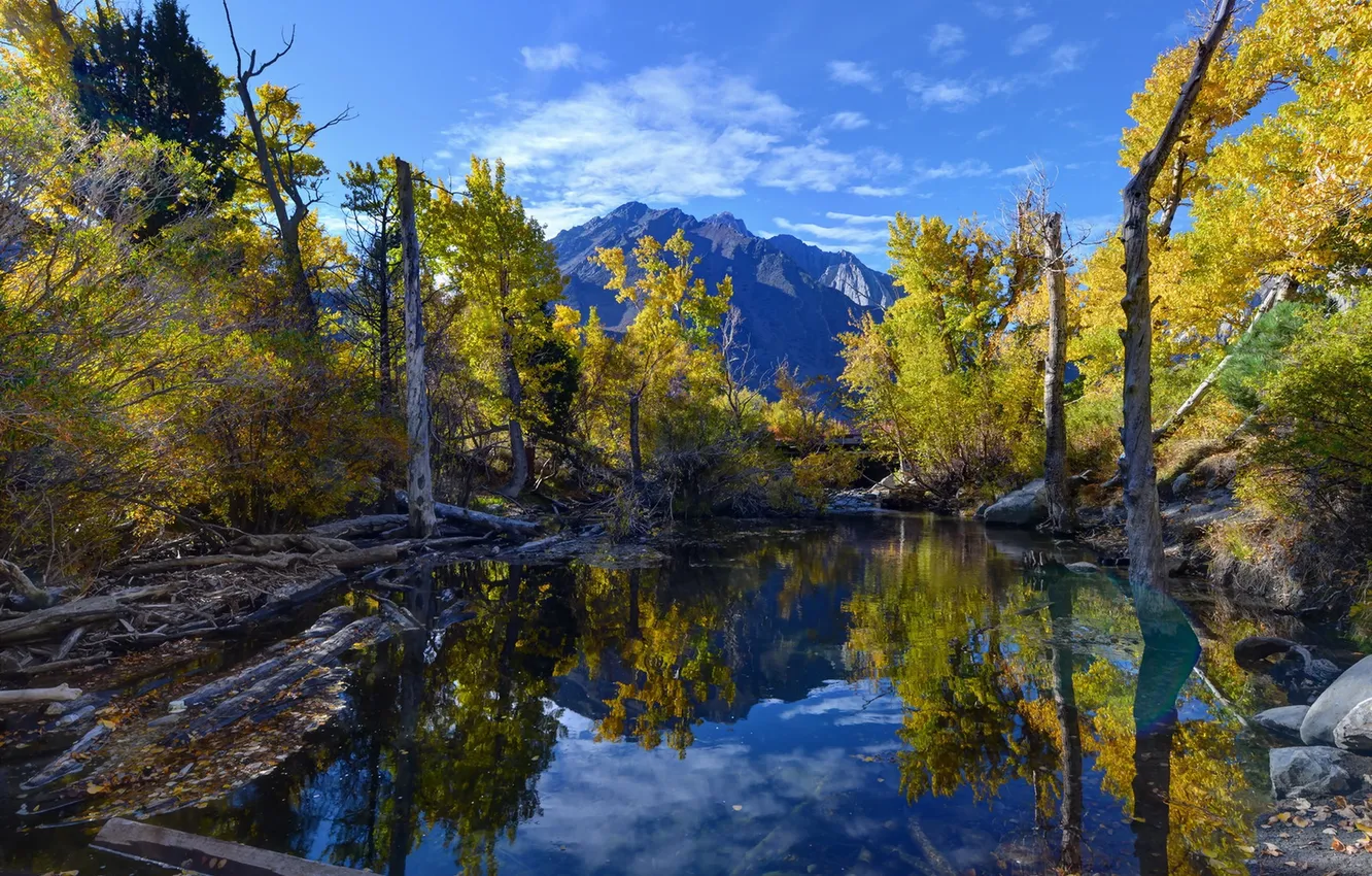 Обои Convict Lake, Reflections, Eastern Sierra, Fall Colors на телефон ...