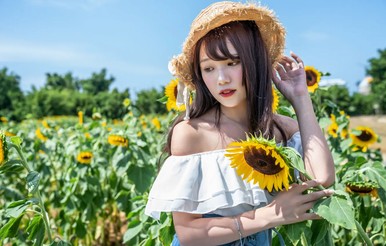 Фото обои поле, лето, подсолнухи, summer, field, милая девушка, sunflowers, cute girl