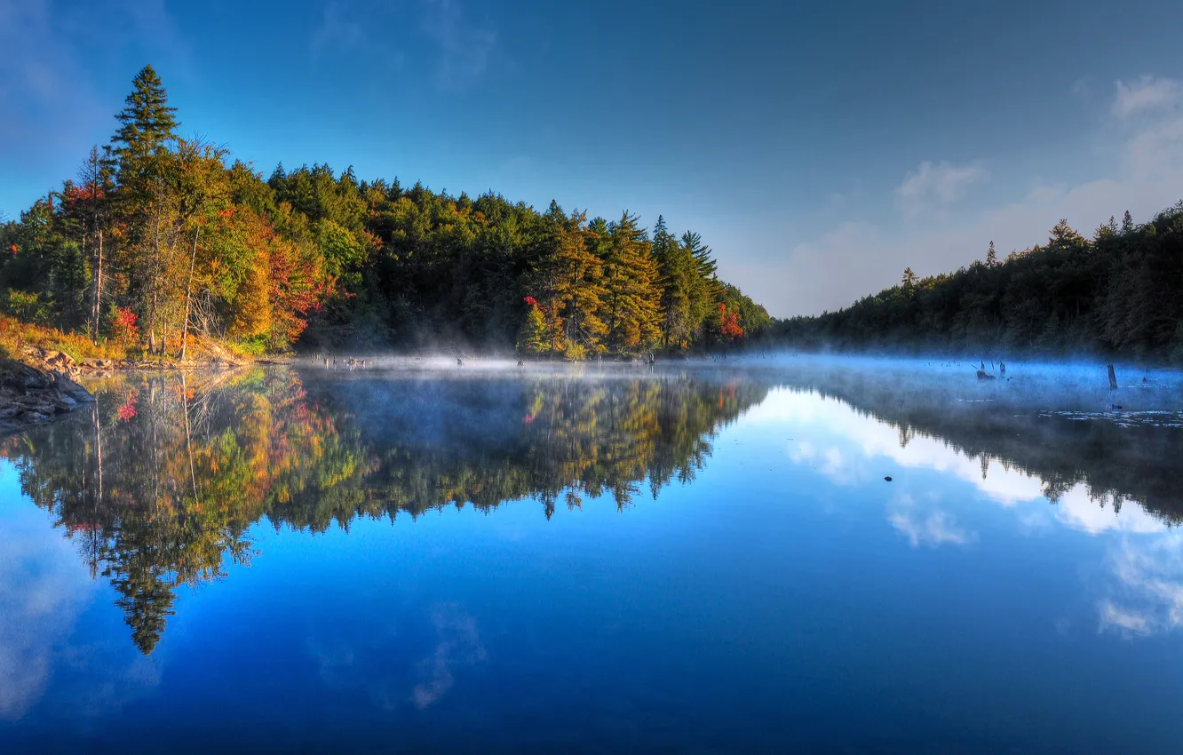 Фото обои осень, лес, небо, деревья, туман, озеро, утро