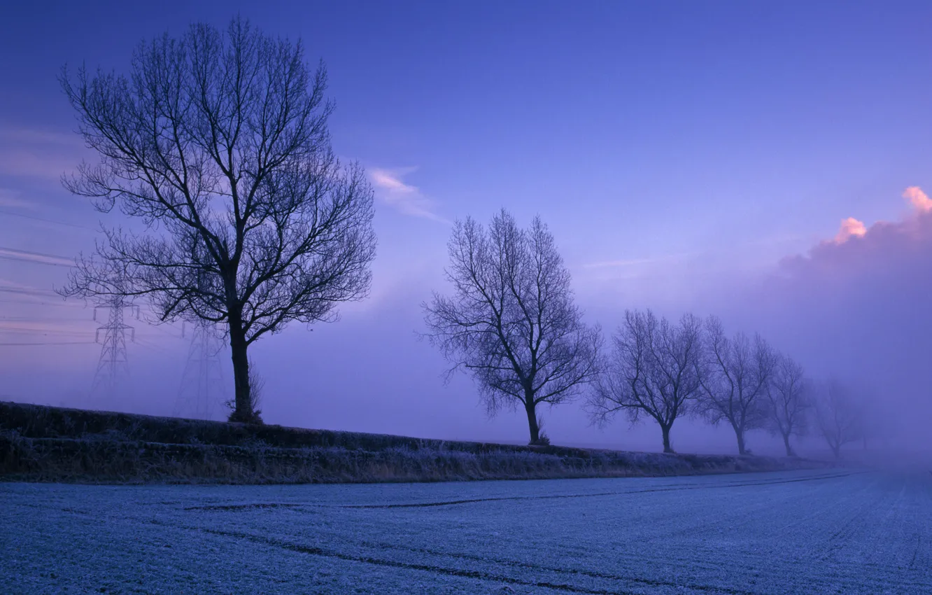 Фото обои поле, небо, снег, деревья, туман, опора