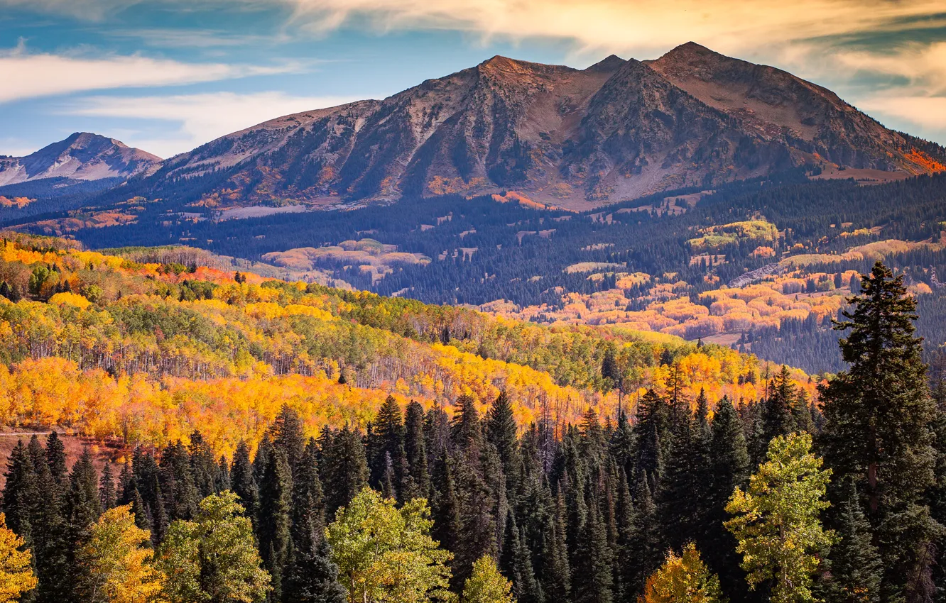 Фото обои осень, лес, облака, пейзаж, горы, склоны, вершины, вид