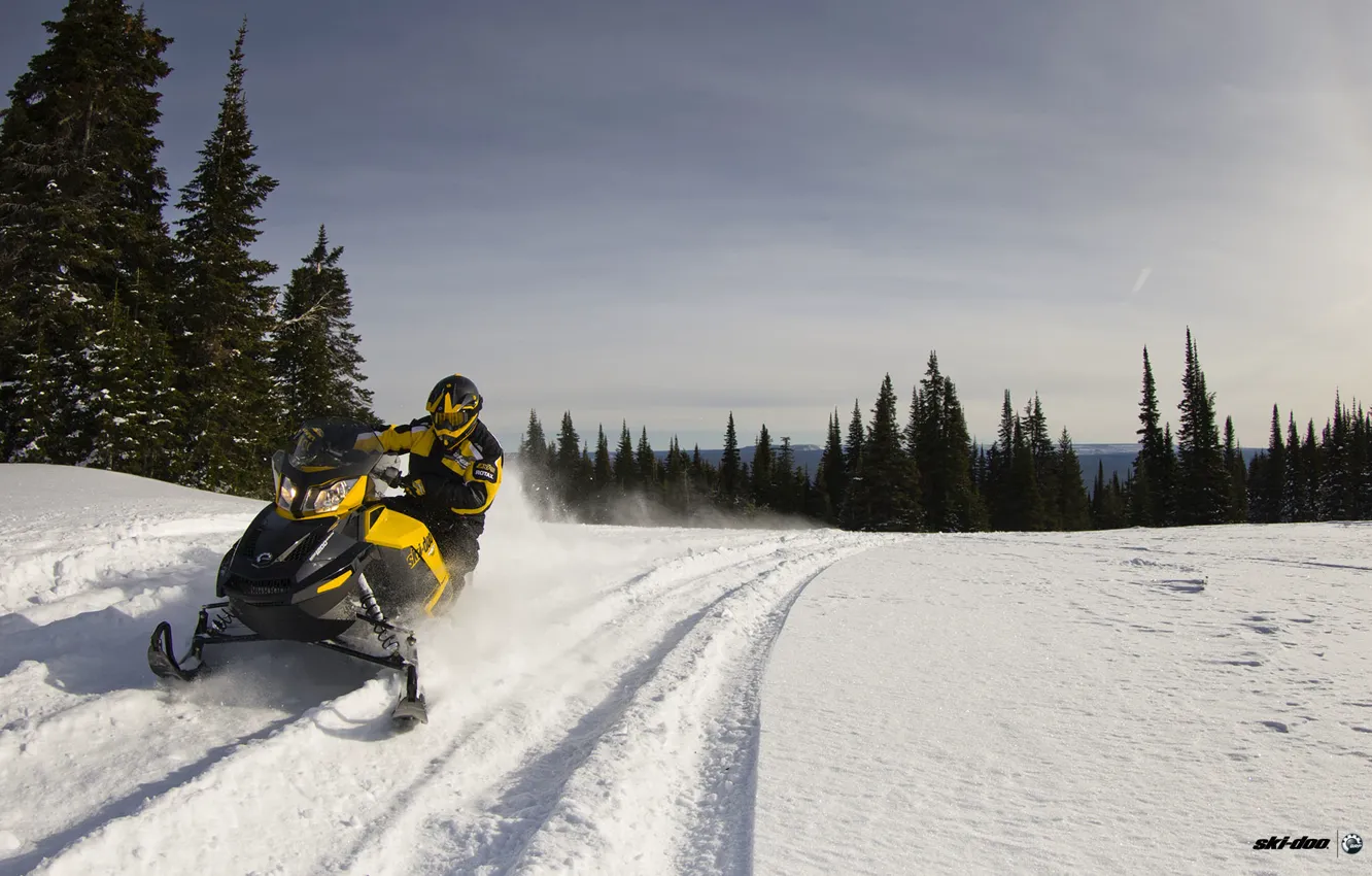 Фото обои Небо, Деревья, Снег, Лес, Жёлтый, Снегоход, Snowmobile, Ski-Doo