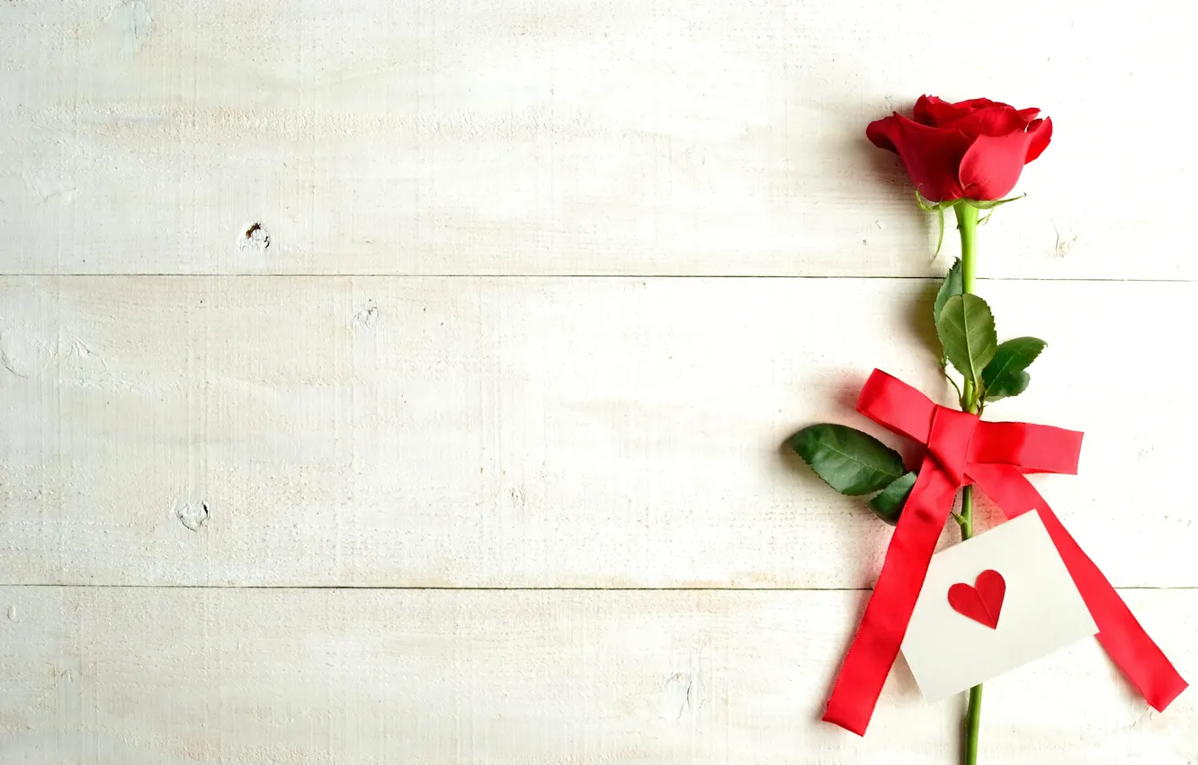 Фото обои любовь, романтика, лента, red, love, rose, красная роза, бант