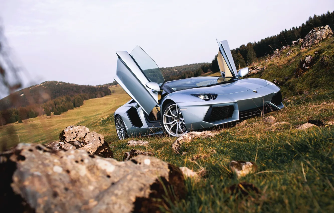 Фото обои Roadster, Lamborghini, Nature, Front, LP700-4, Aventador, Supercars, Silver