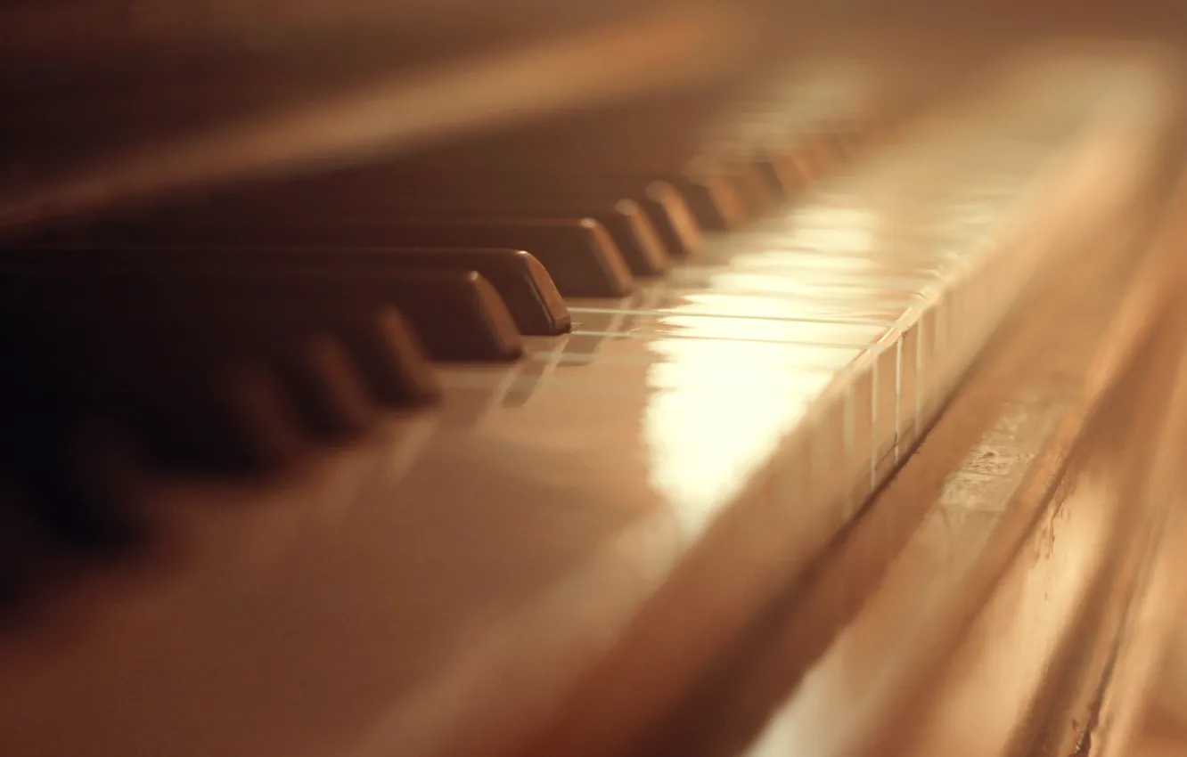 Фото обои клавиши, белые, пианино