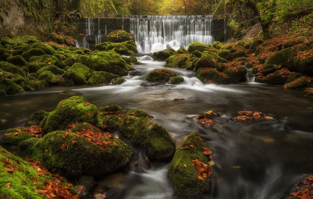 Фото обои осень, листья, река, камни, водопад, мох, Швейцария, каскад