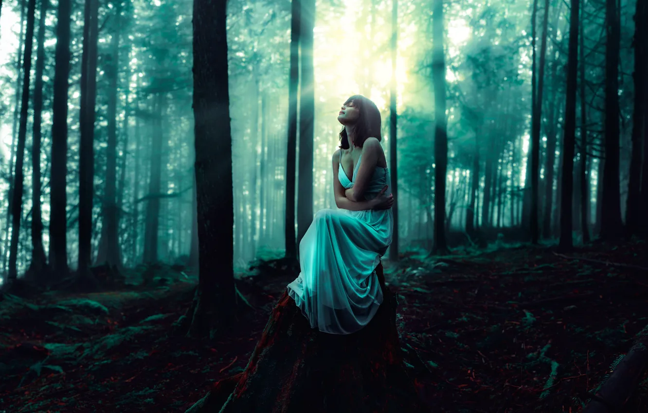Фото обои девушка, платье, освещение, в лесу, the whispering woods
