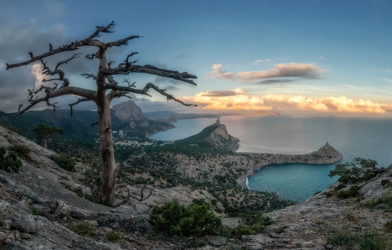 Фото обои ocean, water, mountains, rocks, tree