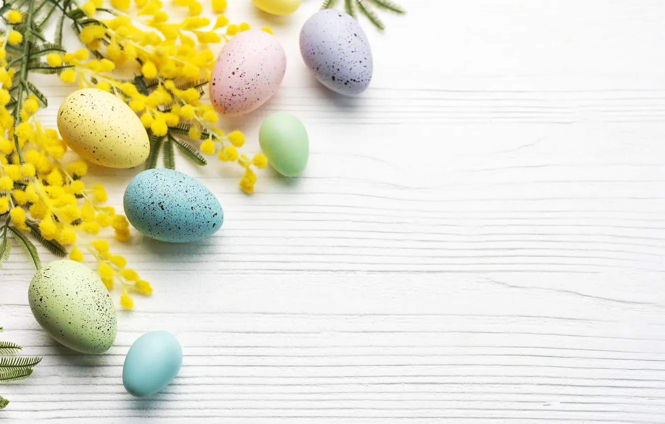Фото обои цветы, яйца, весна, colorful, Пасха, happy, flowers, spring