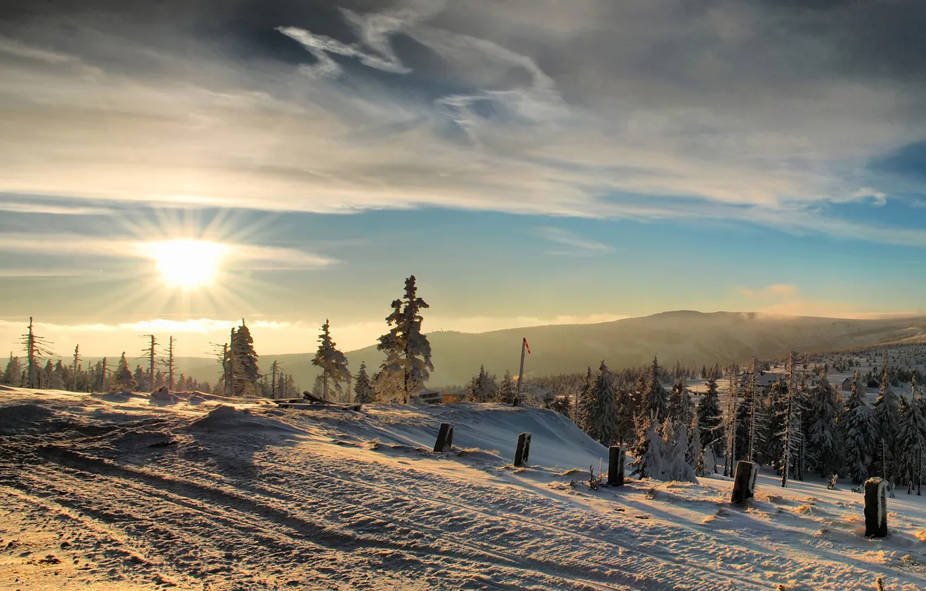 Фото обои зима, лес, солнце, горы