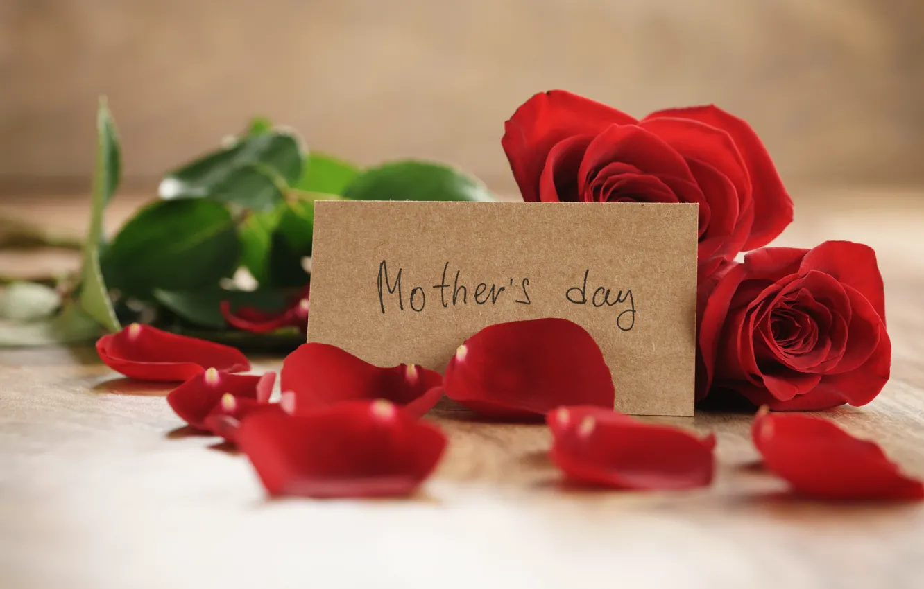 Фото обои букет, лепестки, red, romantic, gift, roses, красные розы, Mother's Day