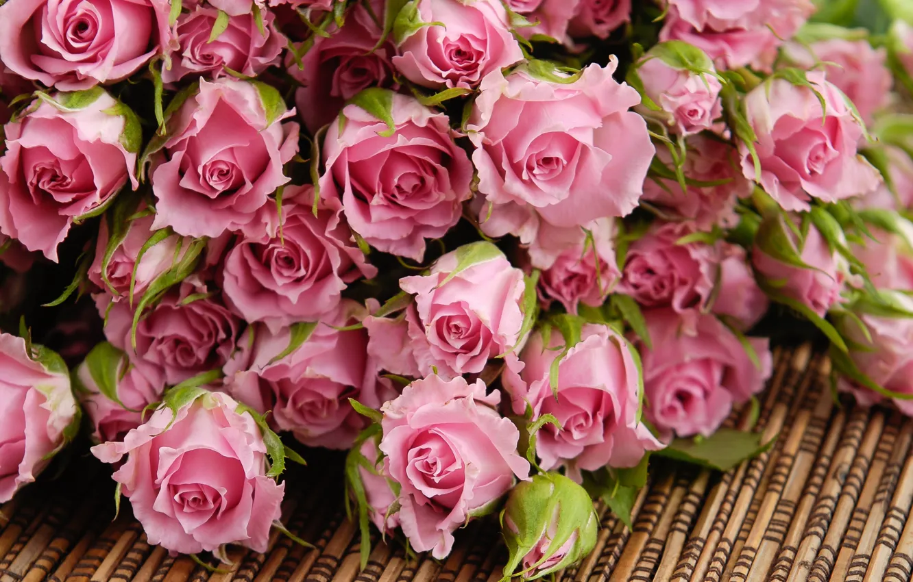 Фото обои цветы, розы, букет, лепестки, розовые, бутоны, циновка