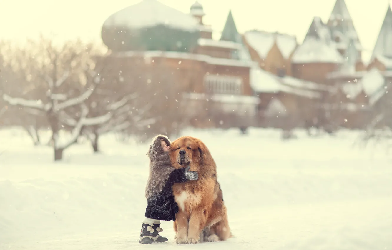 Фото обои зима, снег, собака, девочка, друзья, платок, большой друг