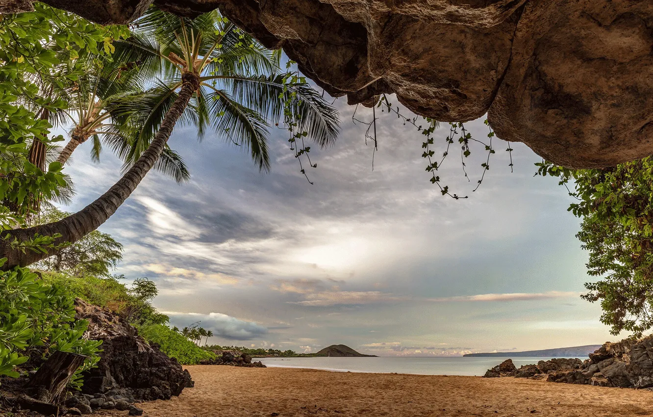 Фото обои море, пляж, пальмы, фото, Гаваи