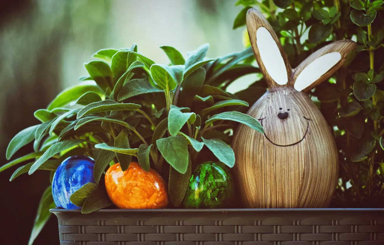Фото обои листья, улыбка, праздник, игрушка, яйца, растения, весна, кролик