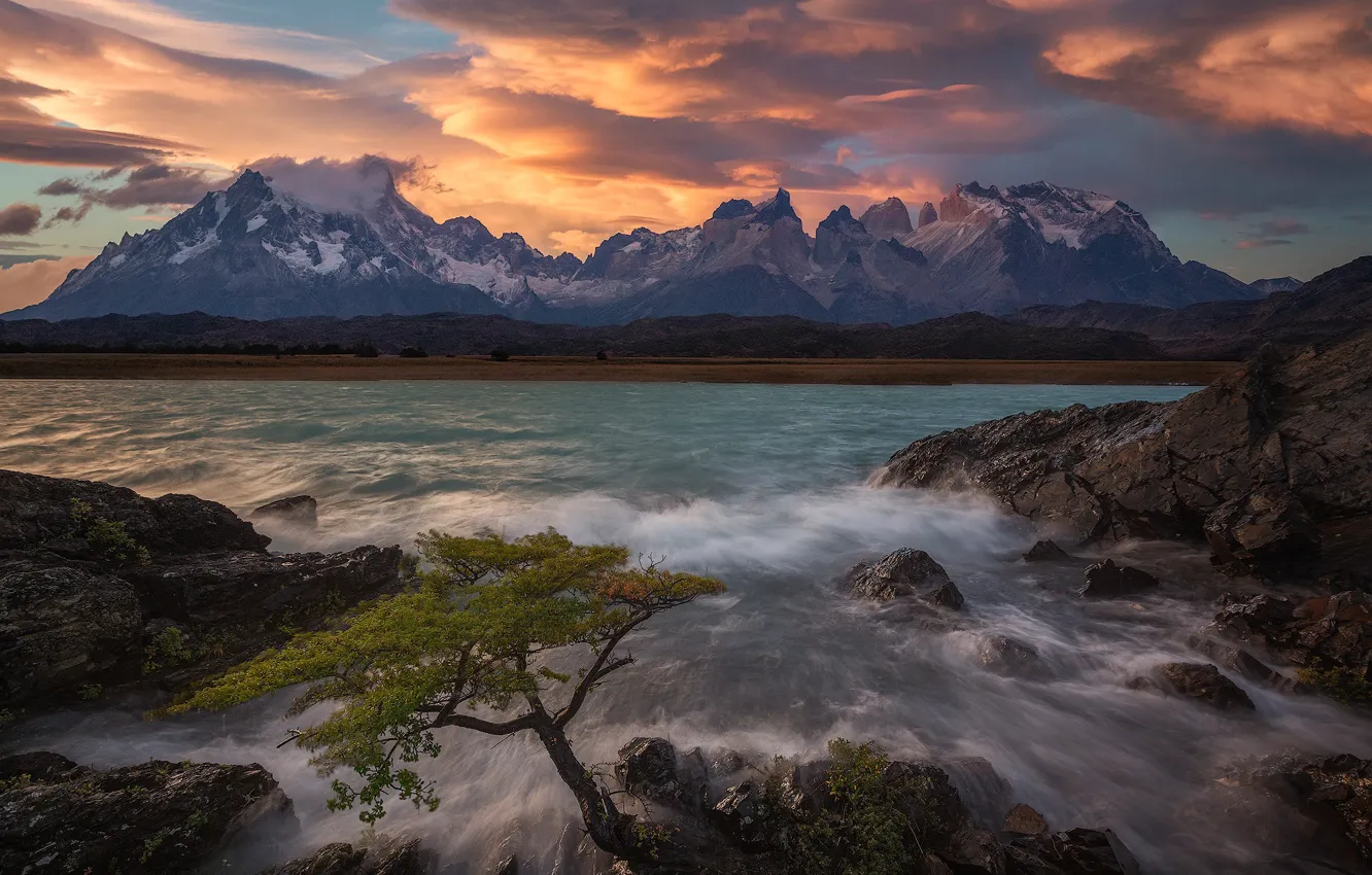 Фото обои горы, озеро, дерево, Чили, Chile, Patagonia, Патагония, Lake Pehoe