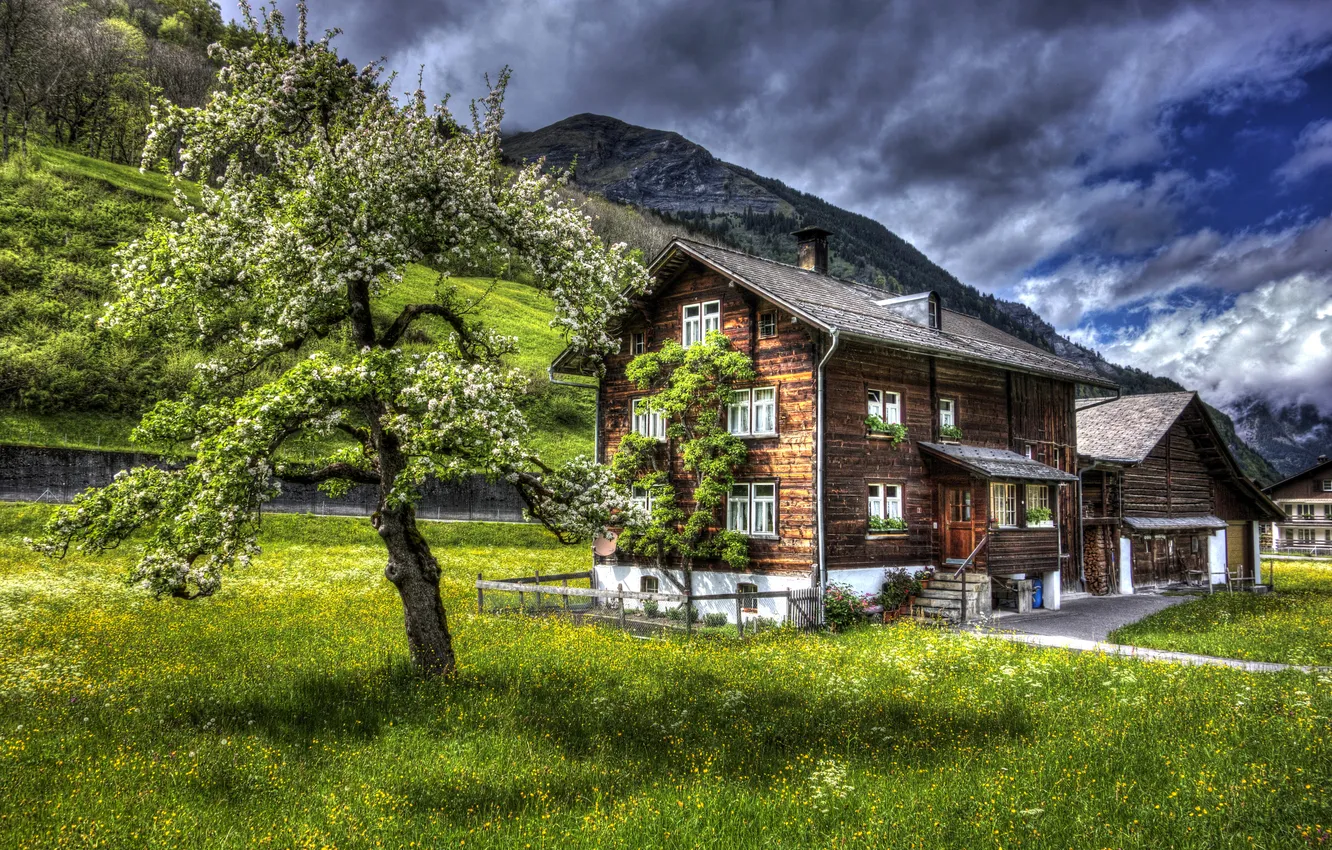 Фото обои трава, цветы, дом, дерево, гора, HDR, весна, Швейцария