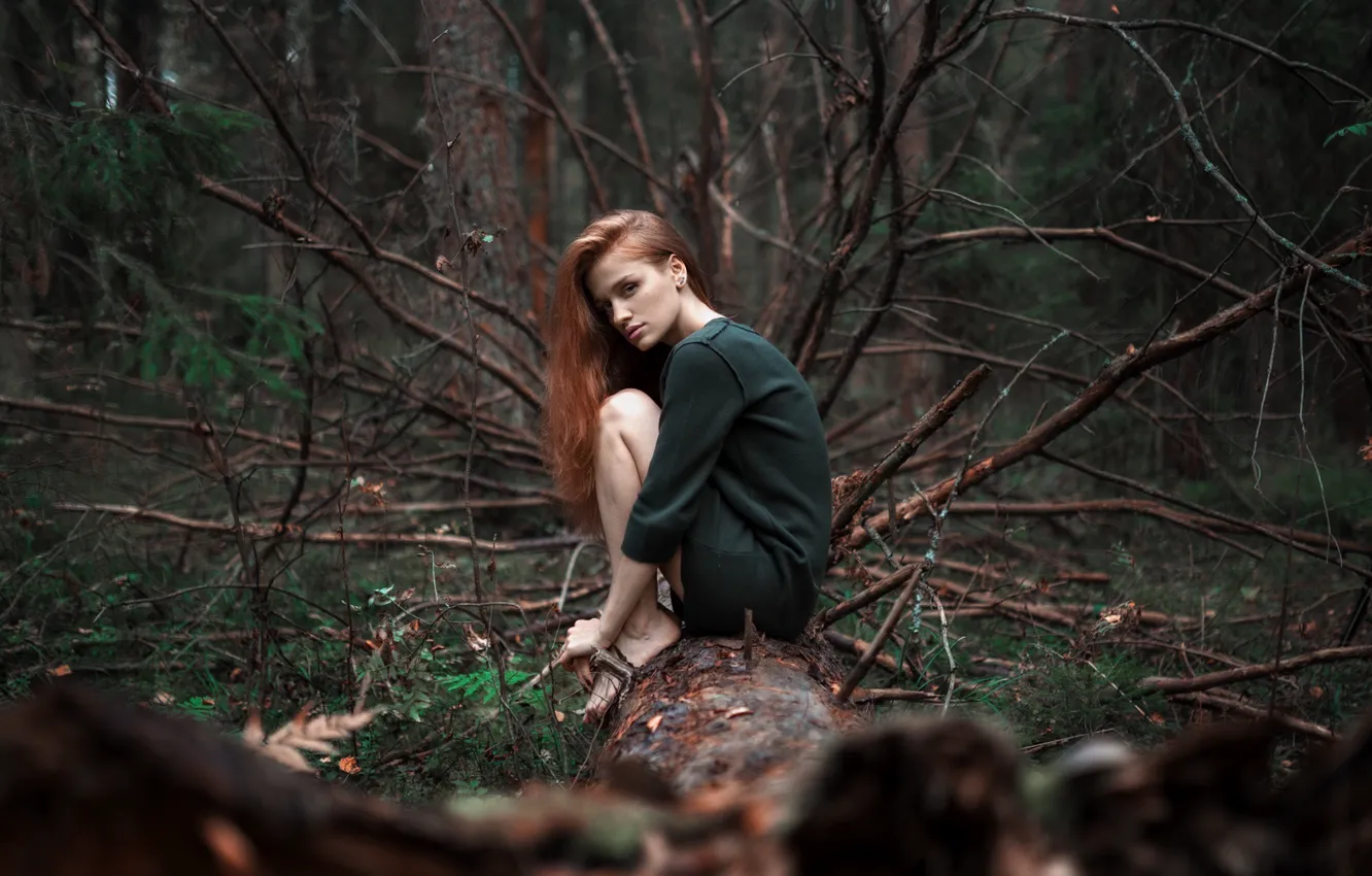 Фото обои лес, девушка, платье, Александр Куренной
