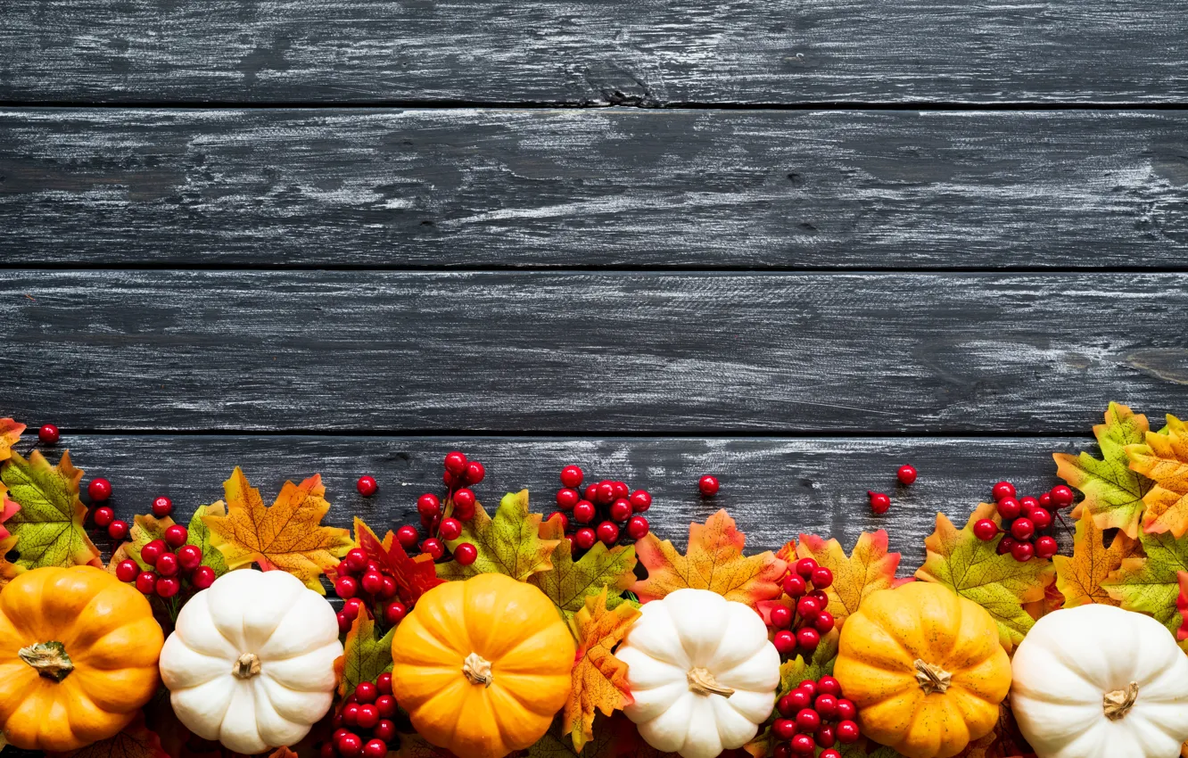 Фото обои осень, листья, фон, доски, colorful, тыква, клен, wood