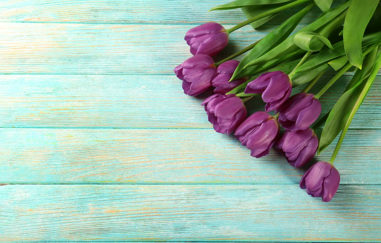 Фото обои цветы, букет, тюльпаны, wood, flowers, tulips, spring, purple