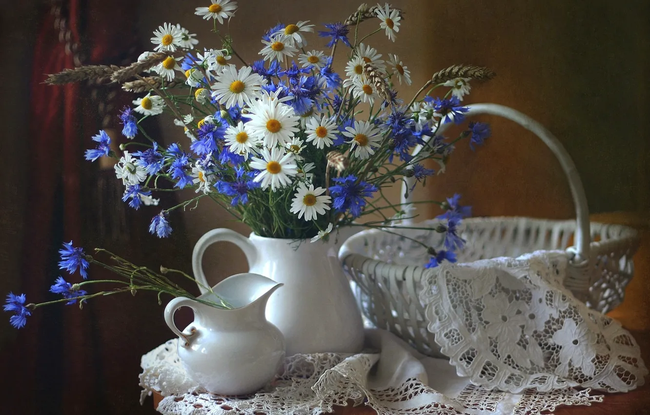 Фото обои white, flower, nature, blue, flowers, bouquet, wild, bunch