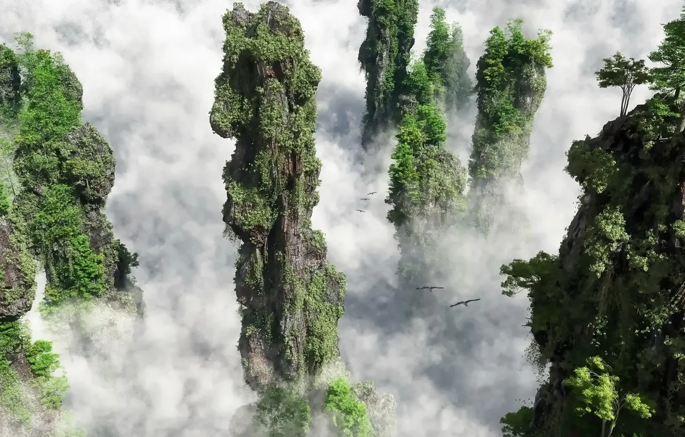Фото обои лес, деревья, горы, птицы, туман, Облака