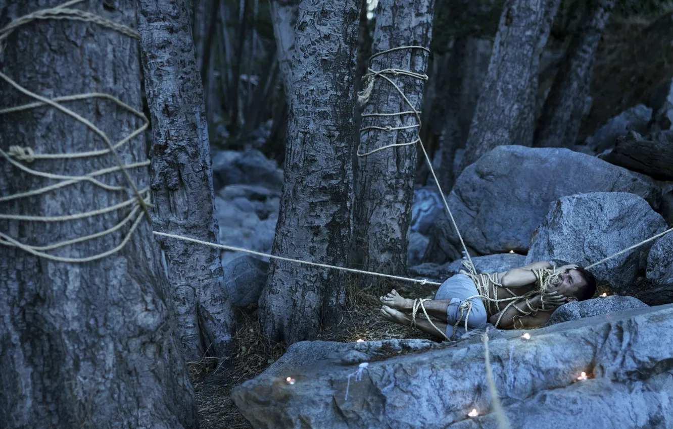 Фото обои лес, страх, ситуация, парень, верёвки