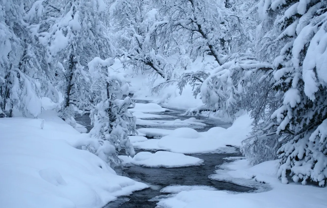 Фото обои зима, лес, снег, река, полынья, стремнина