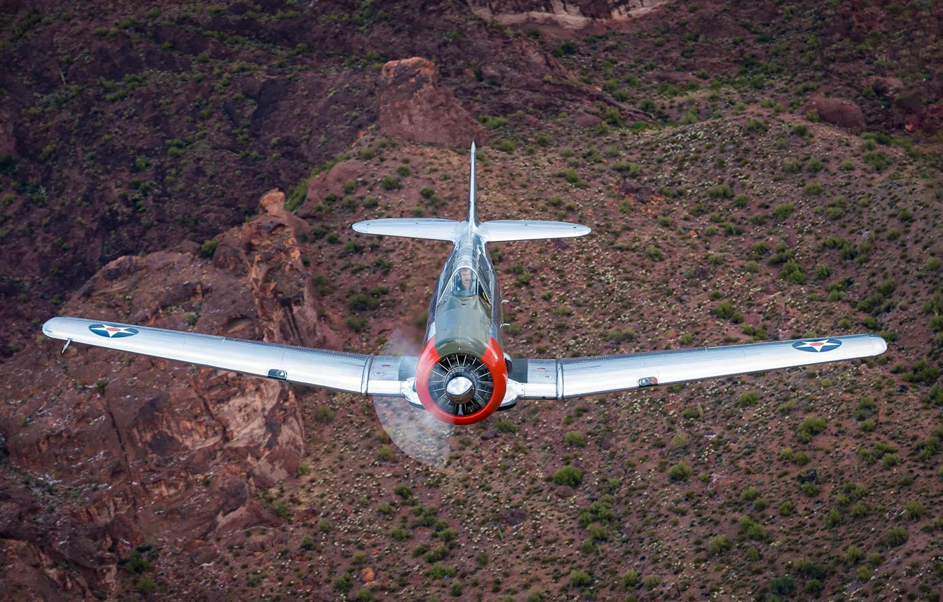 Фото обои самолёт, T-6, учебно-тренировочный, Texan II