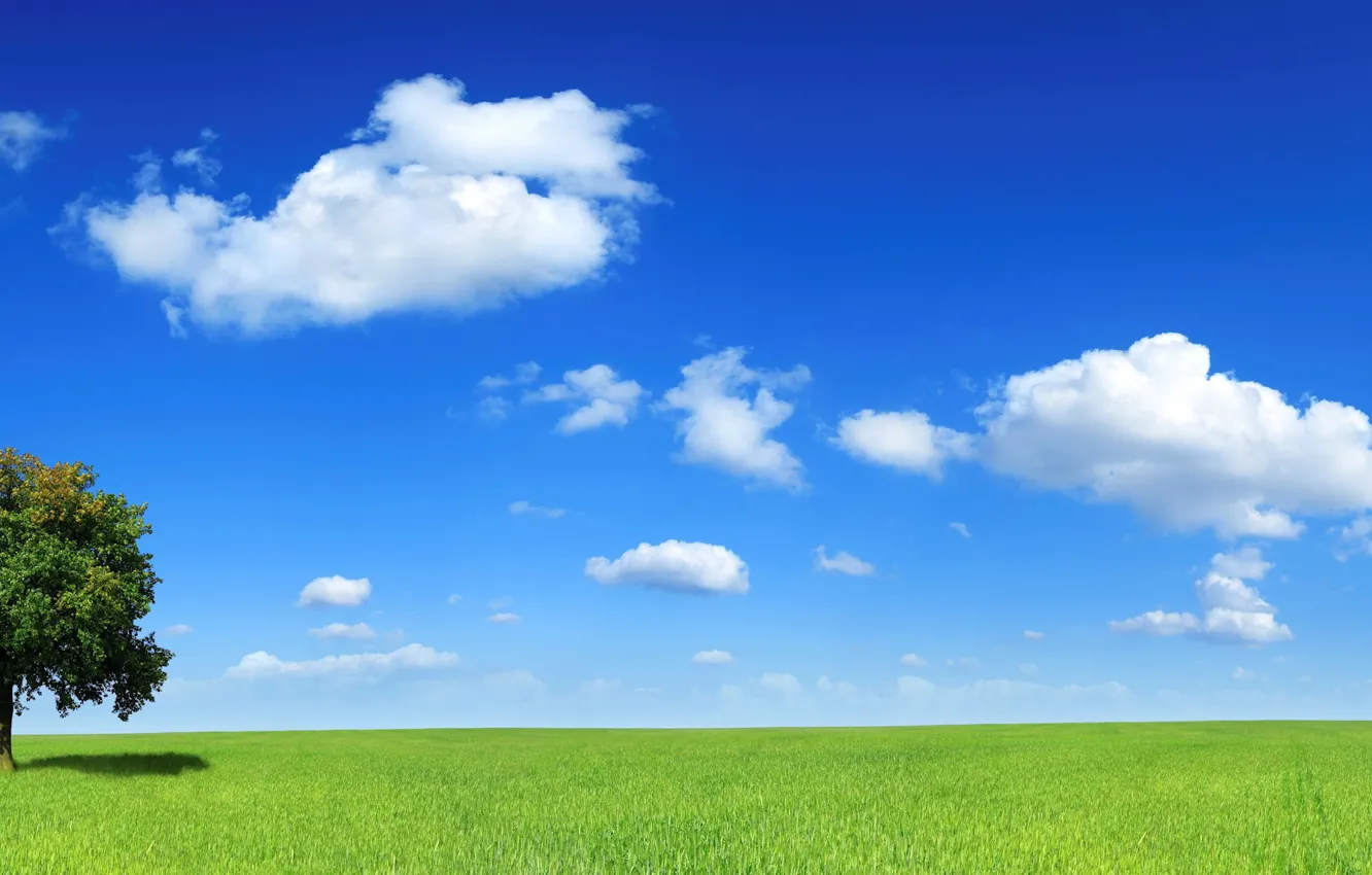 Фото обои поле, облака, дерево, горизонт, 153
