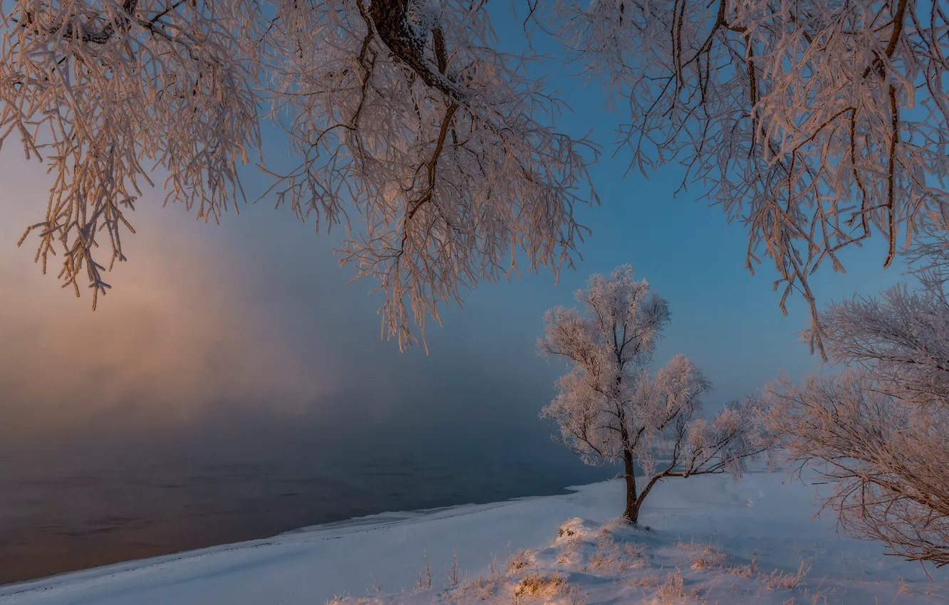 Фото обои зима, иней, снег, деревья, утро, мороз, Россия, Хакасия