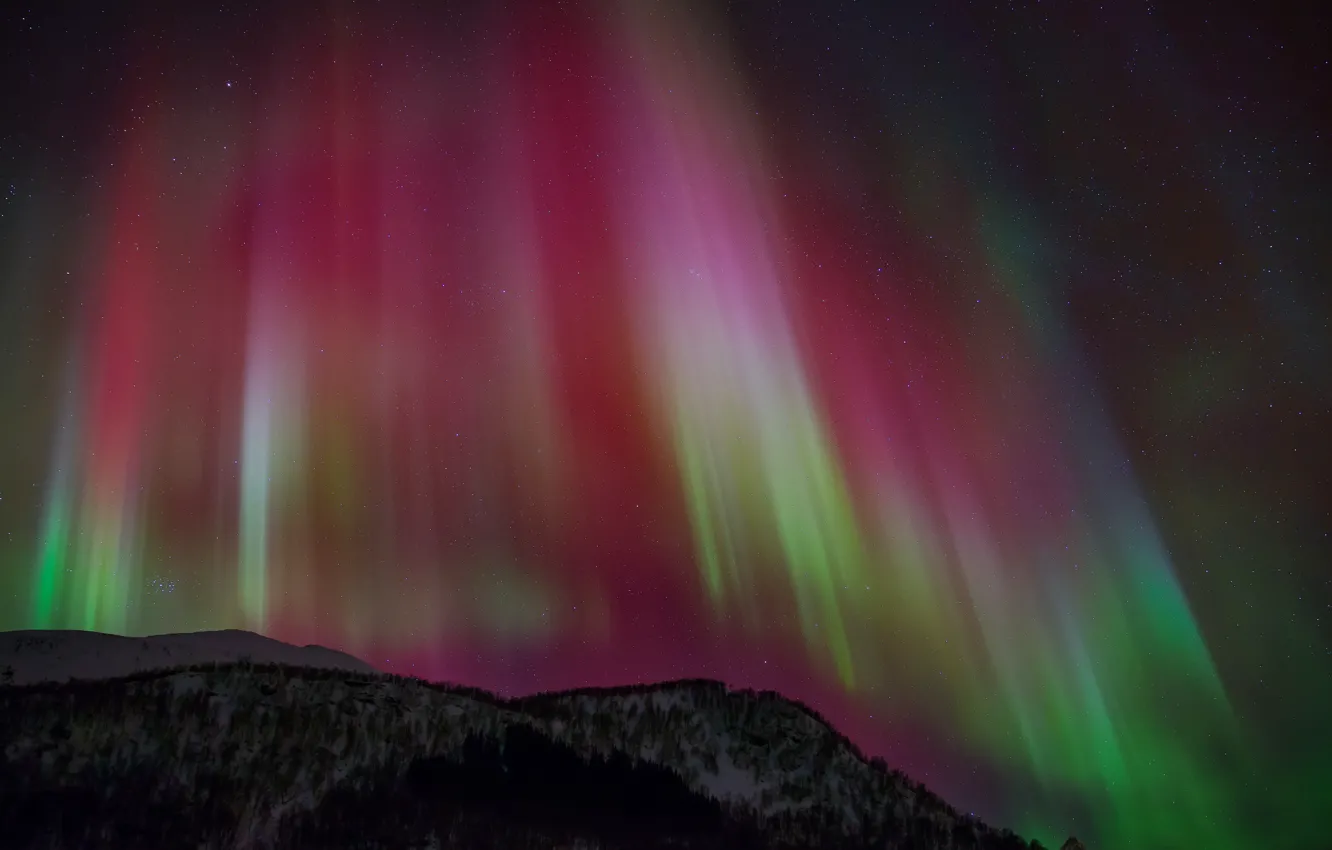 Фото обои небо, звезды, ночь, северное сияние, Aurora Borealis