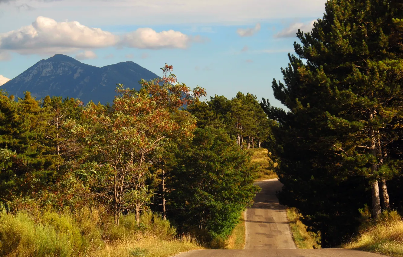 Фото обои дорога, осень, деревья, горы, road, trees, Autumn