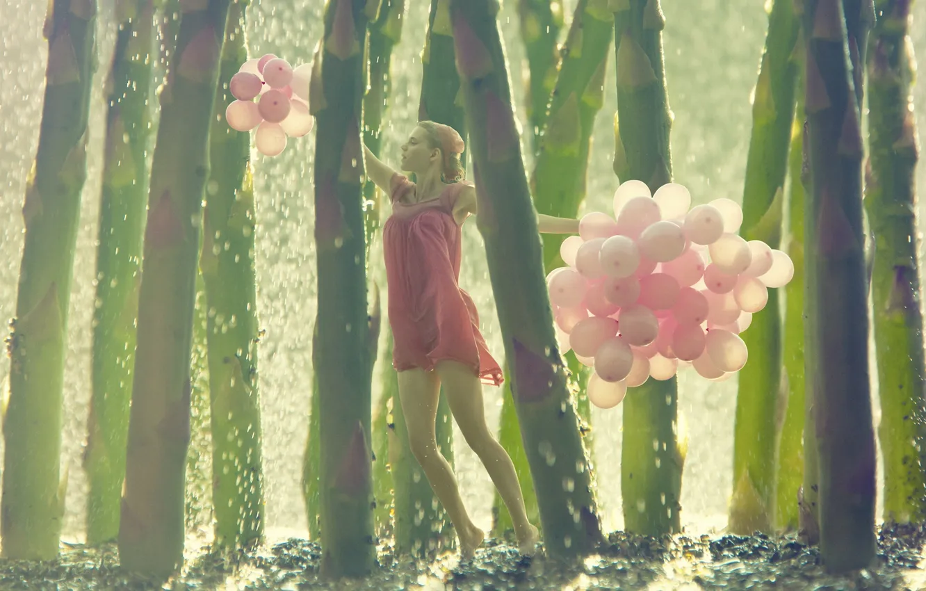 Фото обои девушка, капли, воздушные шары, креатив, стебли, платье