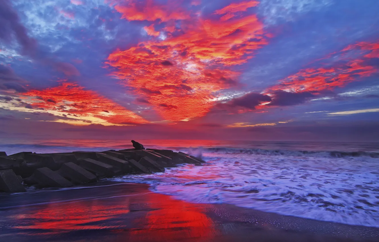 Фото обои море, волны, пляж, закат, красный, тучи