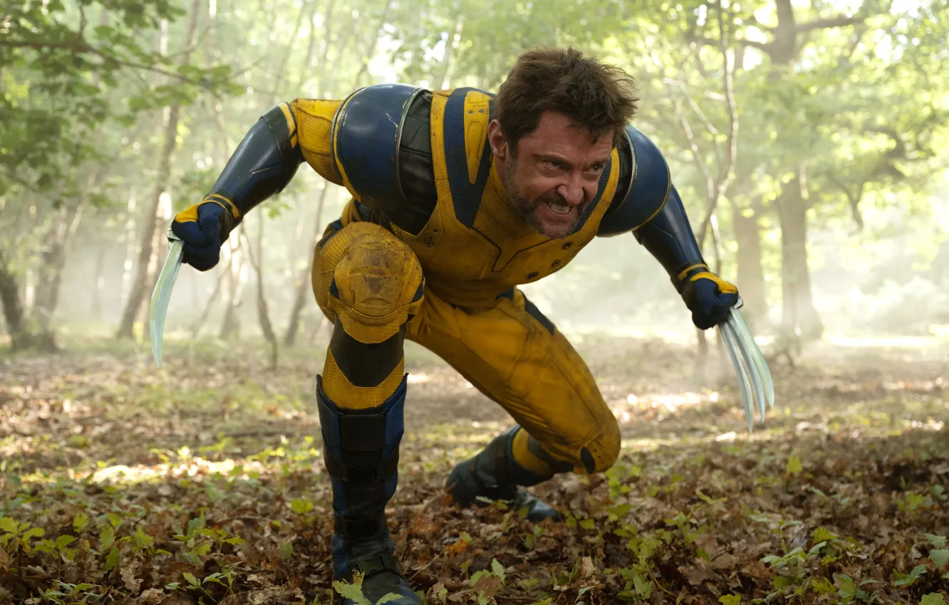 Фото обои Wolverine, Hugh Jackman, Marvel Studios, 2024, Deadpool & Wolverine