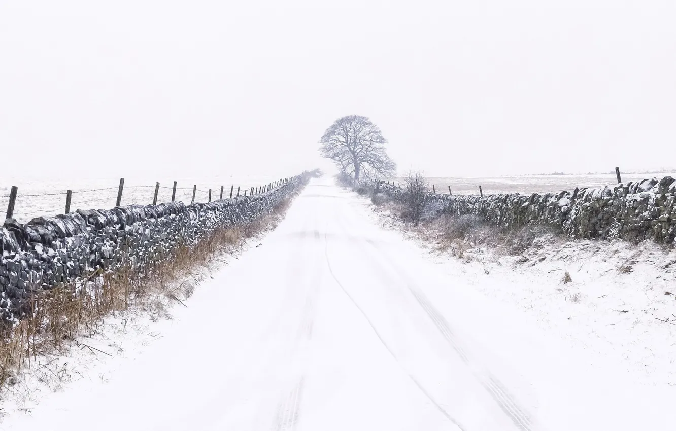 Фото обои зима, дорога, снег, забор