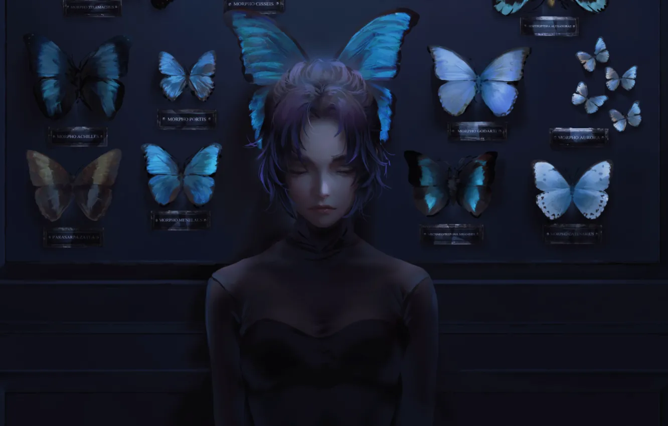 Фото обои бабочки, одиночество, коллекция, закрытые глаза, в темноте, черная одежда, клинок рассекающий демонов, Kochou Shinobu