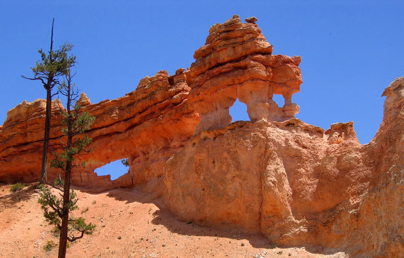Фото обои небо, деревья, скалы, Юта, США, Bryce Canyon