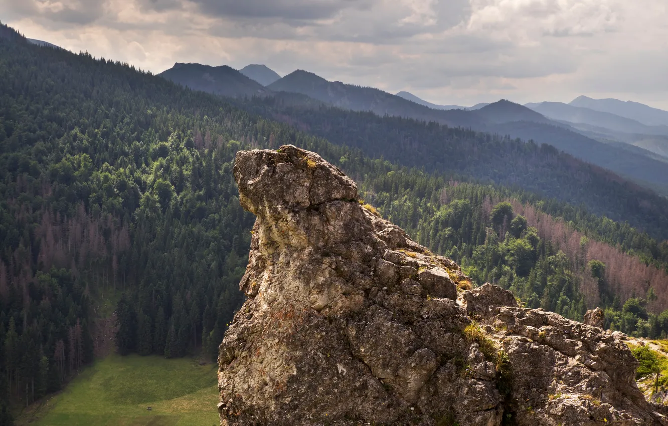 Фото обои hill, scenery, tatras, scene, valley, outdoors, carpathians, zakopane