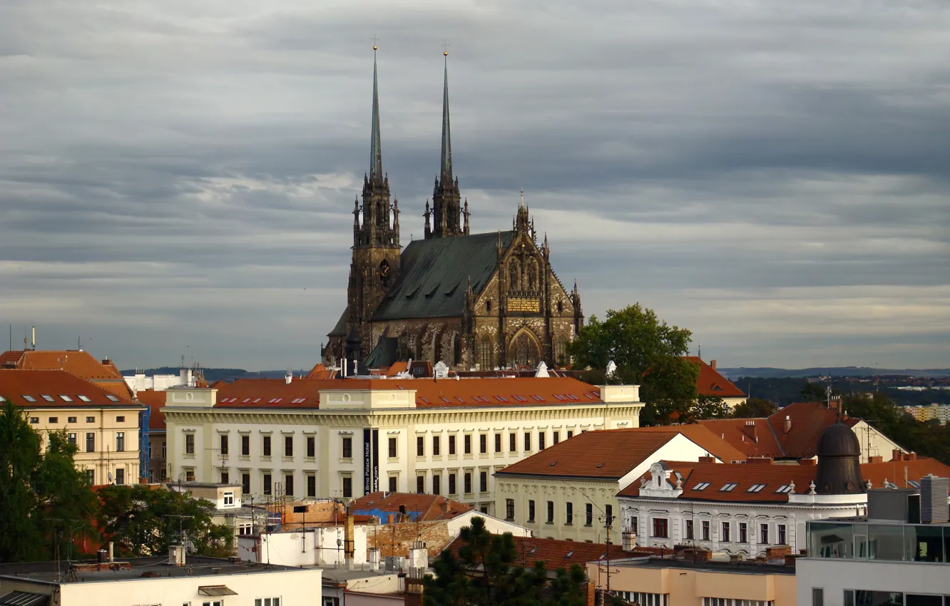 Фото обои Чехия, собор, Czech, Brno, Брно