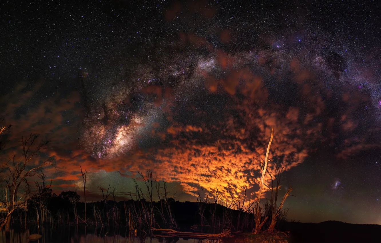 Фото обои звезды, облака, свет, деревья, ночь, Австралия, млечный путь