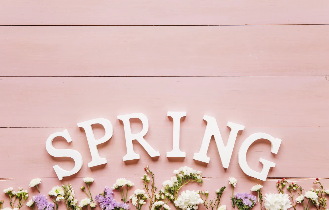Фото обои цветы, фон, весна, pink, flowers, background, spring