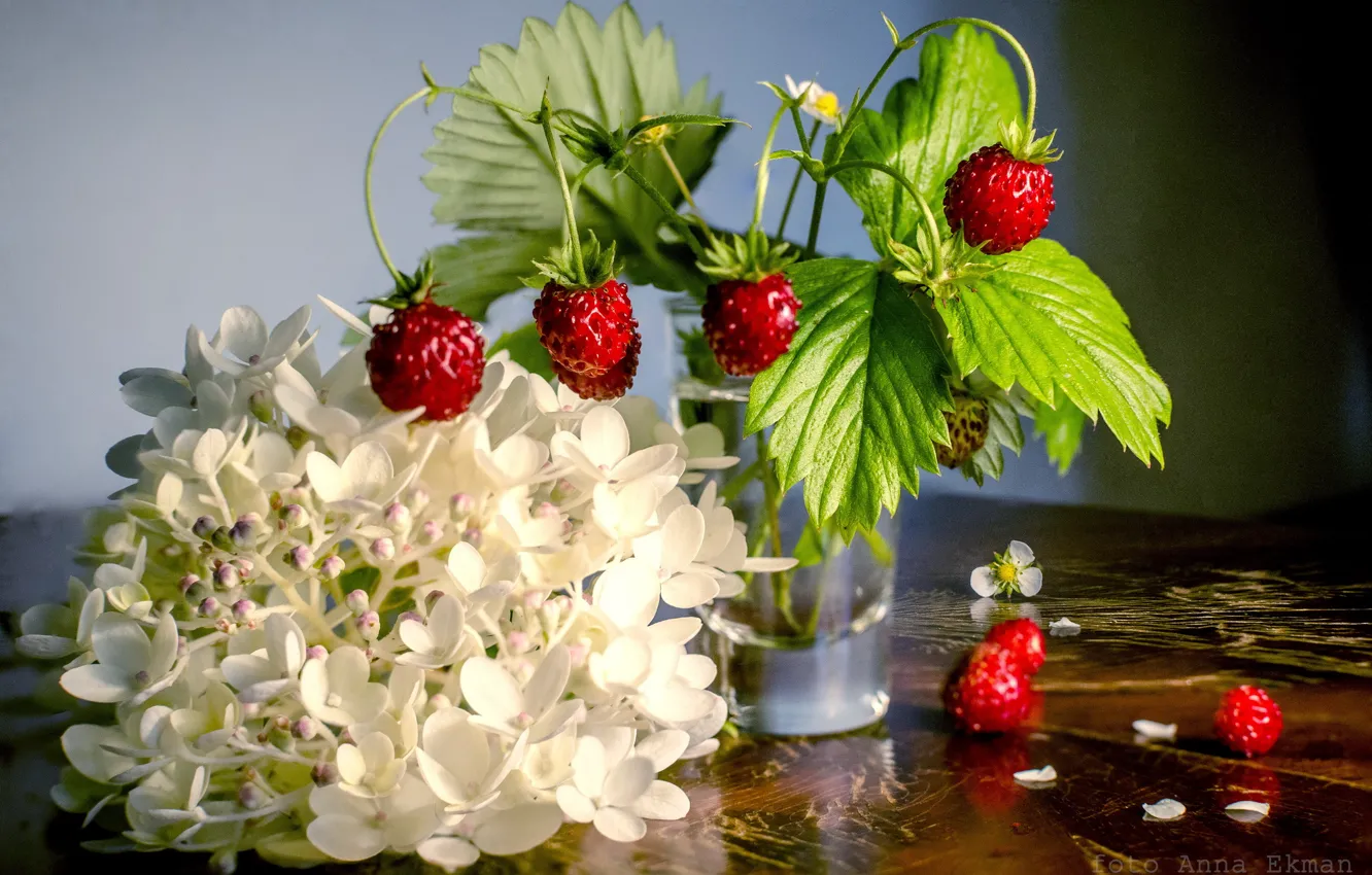 Фото обои цветы, ягоды, фон