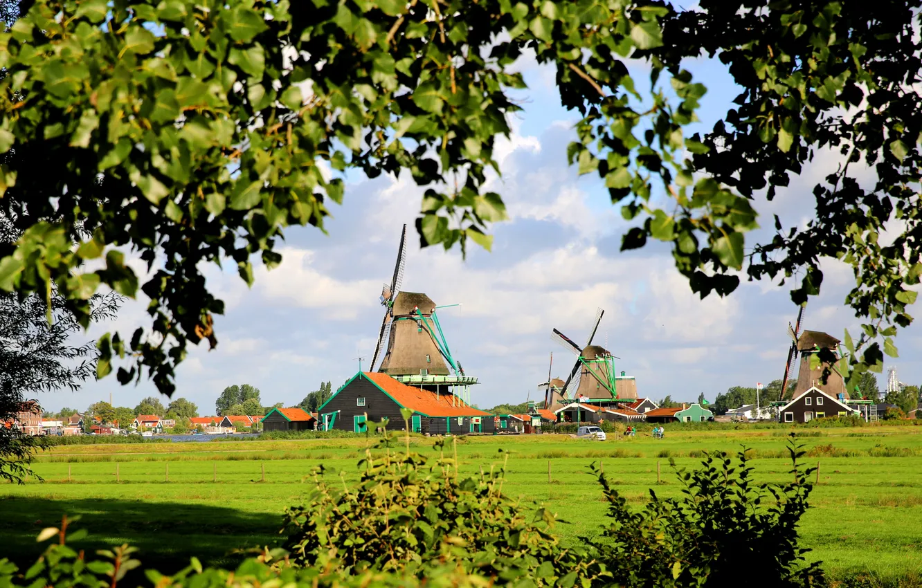 Фото обои трава, деревья, дом, Нидерланды, ветряная мельница, Зансе-Сханс, Занстад