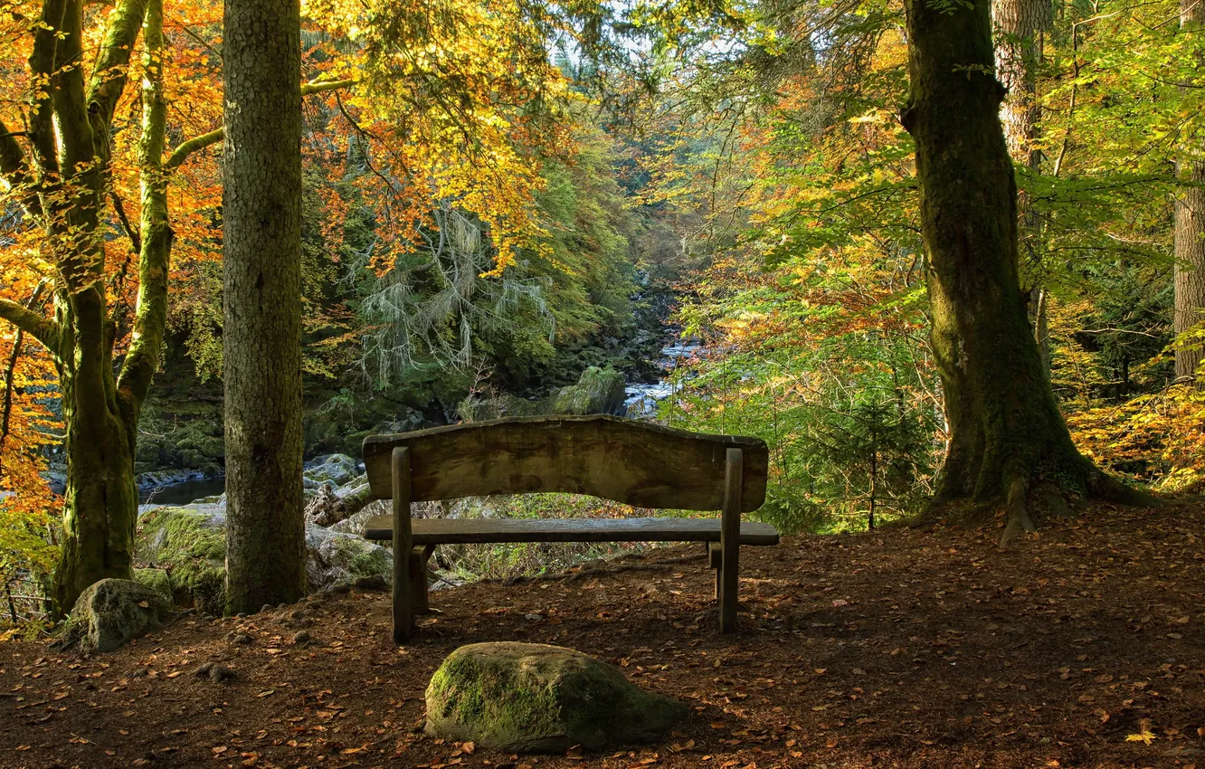 Фото обои Autumn, Scotland, Hermitage