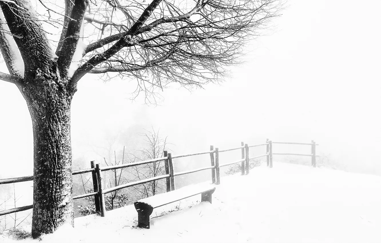 Фото обои зима, дерево, скамья